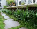 Feature planting to interior atrium and water feature