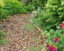A quiet pathway meanders between oak trees and shrubbery