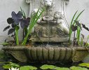 A classical water feature is home to a number of frogs