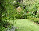 Clipped hedges provide containment for exuberant flowering shrubbery