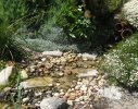 Constantia 1 - waterwise/ wildlife friendly garden