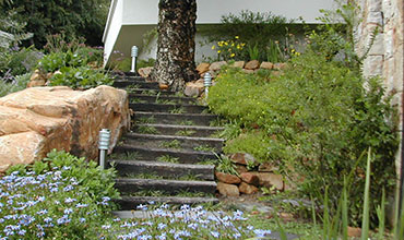 Garden Features