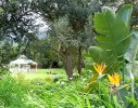Hout Bay Residence1- View of sloped garden onto Gazebo on lower lawn