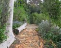 Hout Bay 2 - waterwise garden