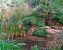 A pond with walkway and stairs on lower stream
