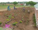 Swaziland - charity garden for school orphanage