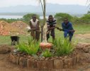 Swaziland - charity garden